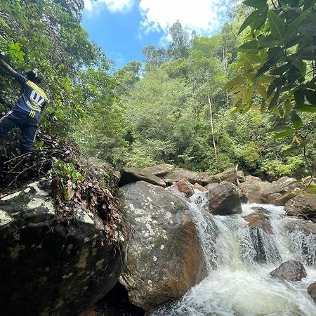 Rainforest Cabin Deniyaya Kültér fotó