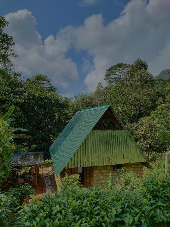 Rainforest Cabin Deniyaya Kültér fotó