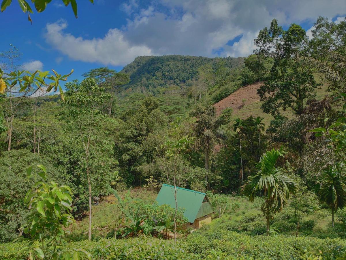 Rainforest Cabin Deniyaya Kültér fotó