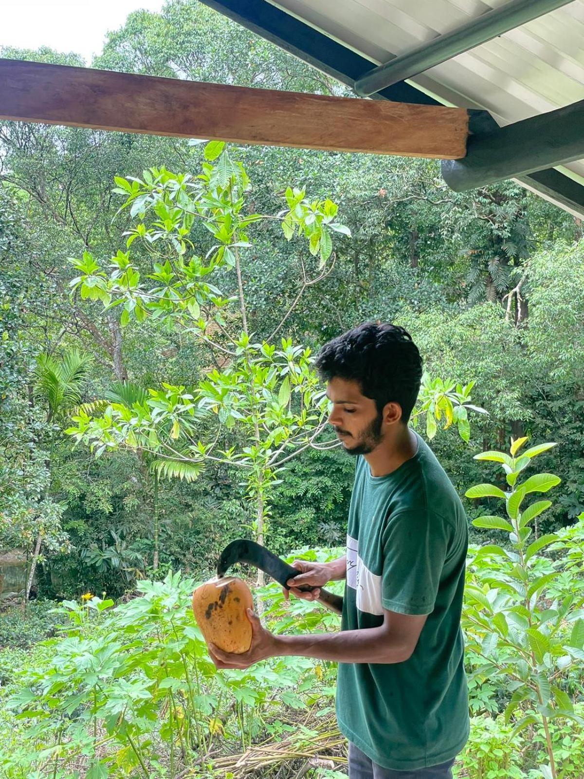 Rainforest Cabin Deniyaya Kültér fotó