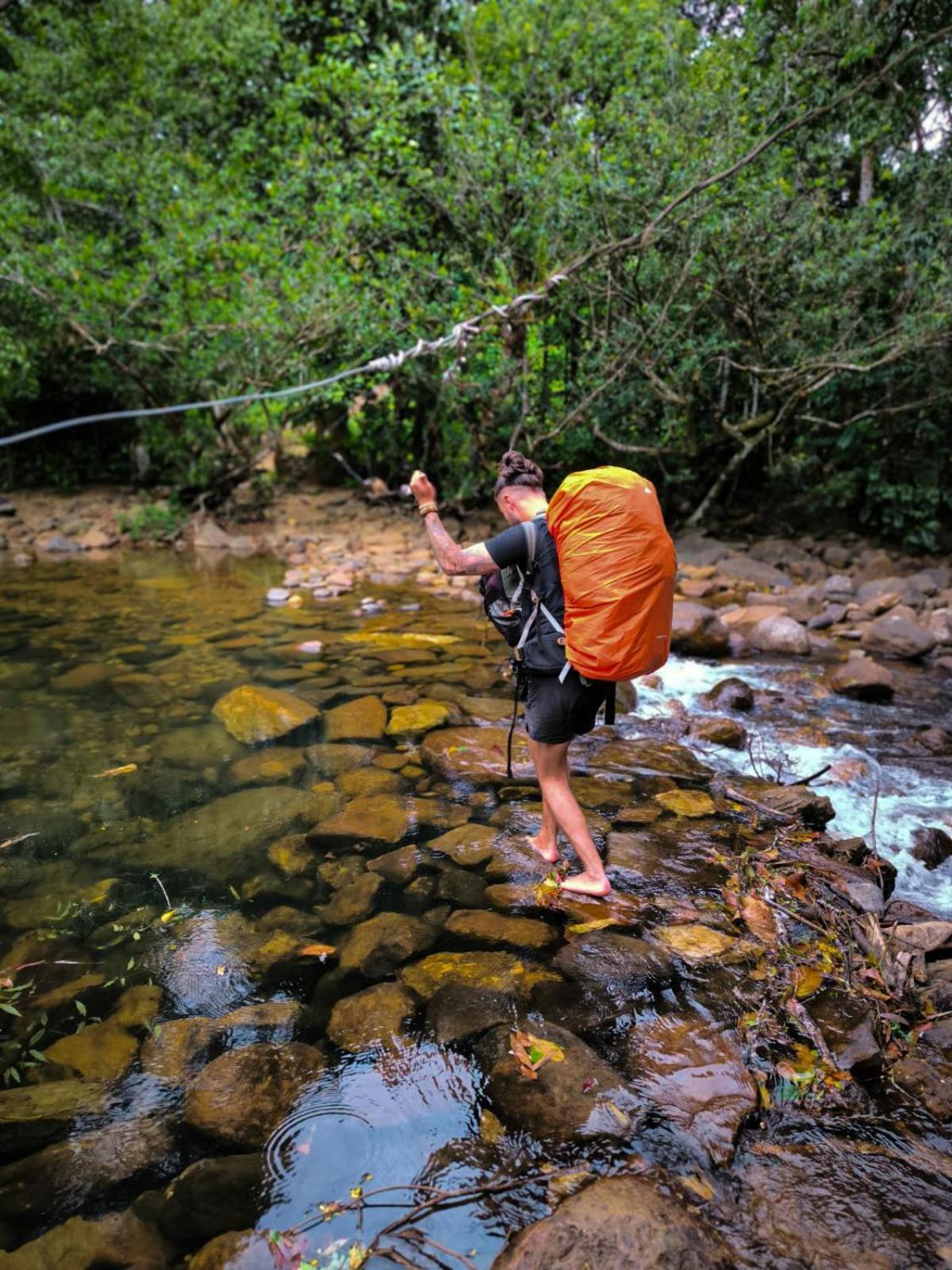 Rainforest Cabin Deniyaya Kültér fotó
