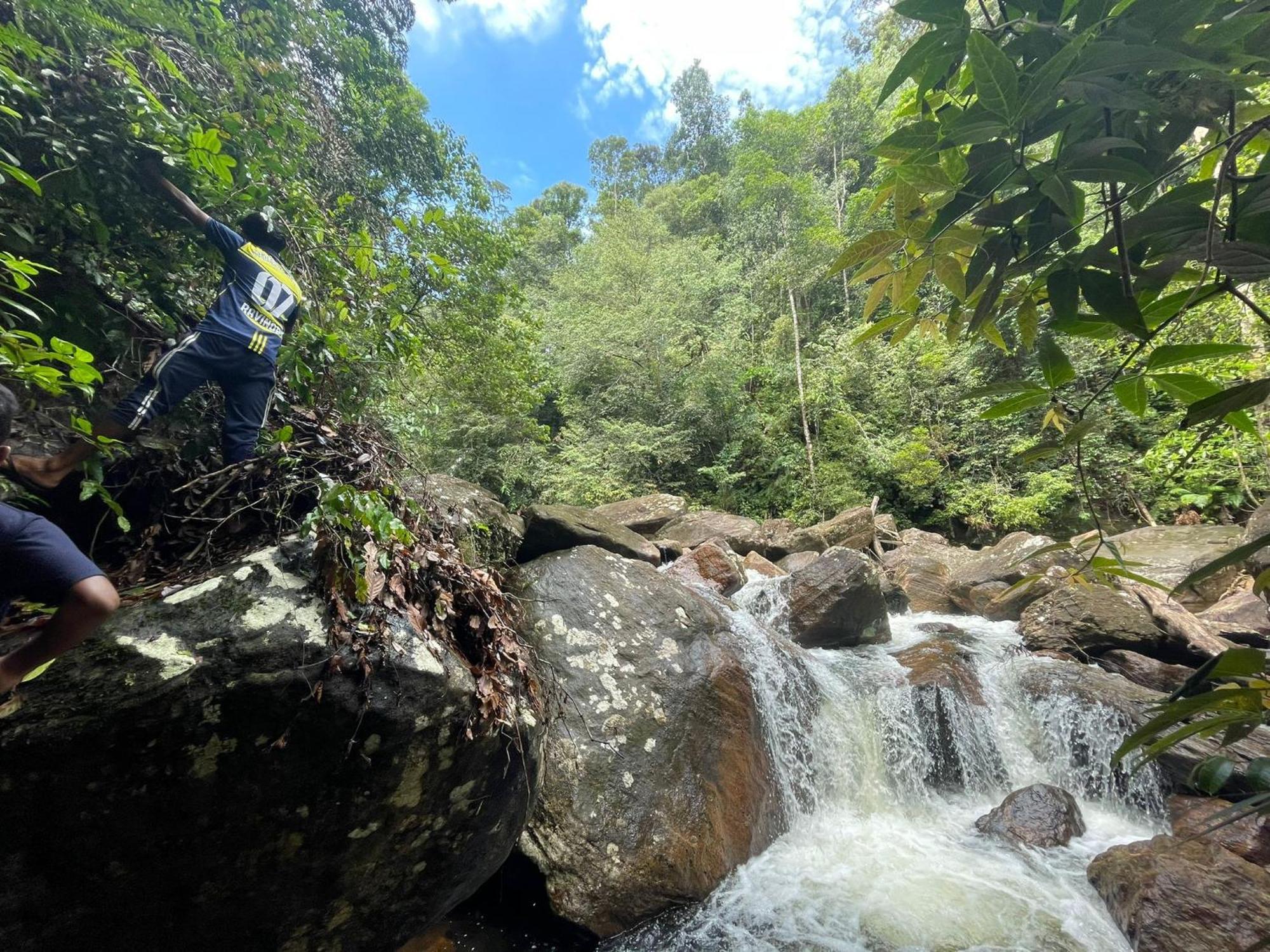 Rainforest Cabin Deniyaya Kültér fotó