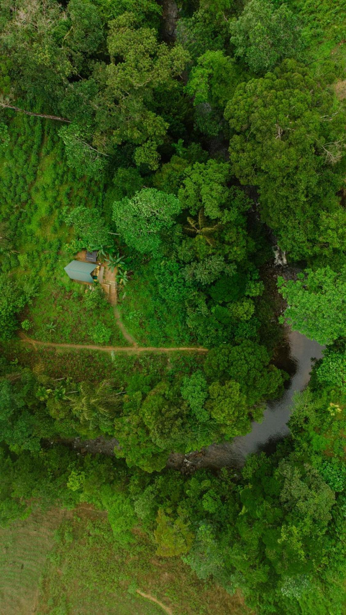 Rainforest Cabin Deniyaya Kültér fotó