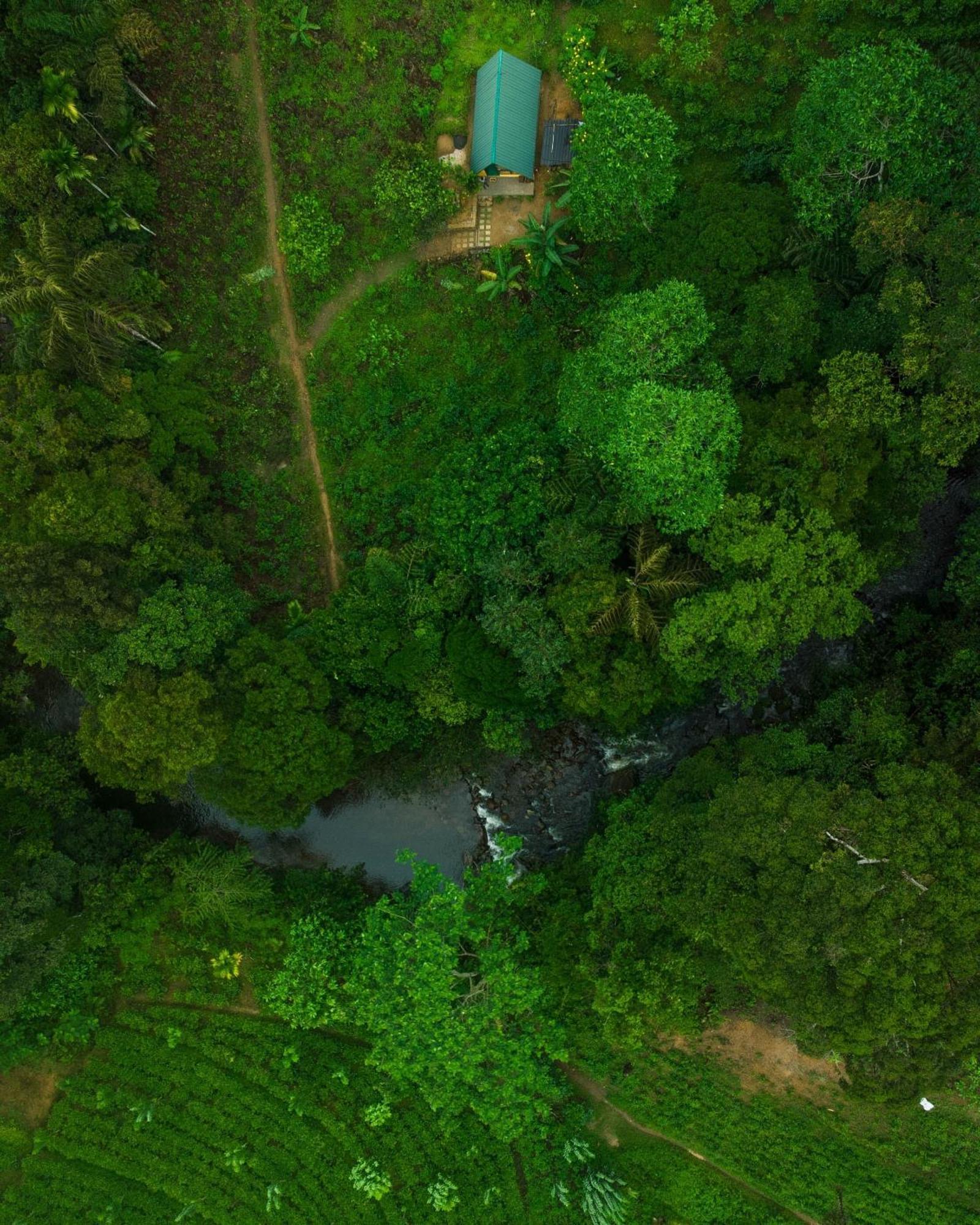 Rainforest Cabin Deniyaya Kültér fotó