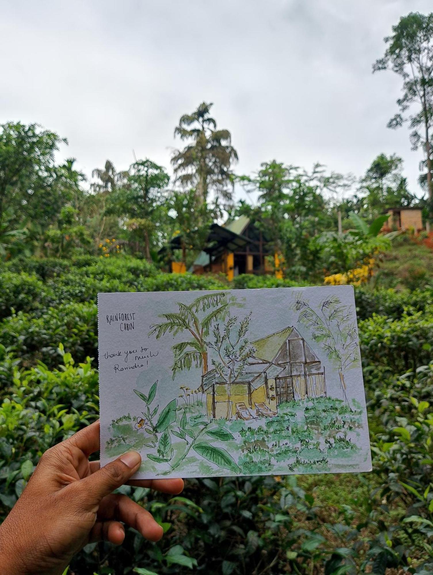 Rainforest Cabin Deniyaya Kültér fotó