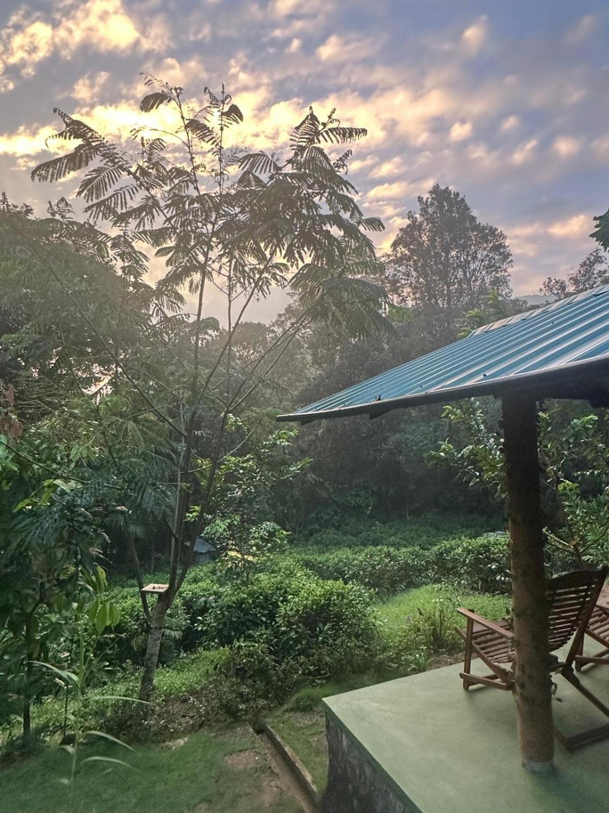 Rainforest Cabin Deniyaya Kültér fotó
