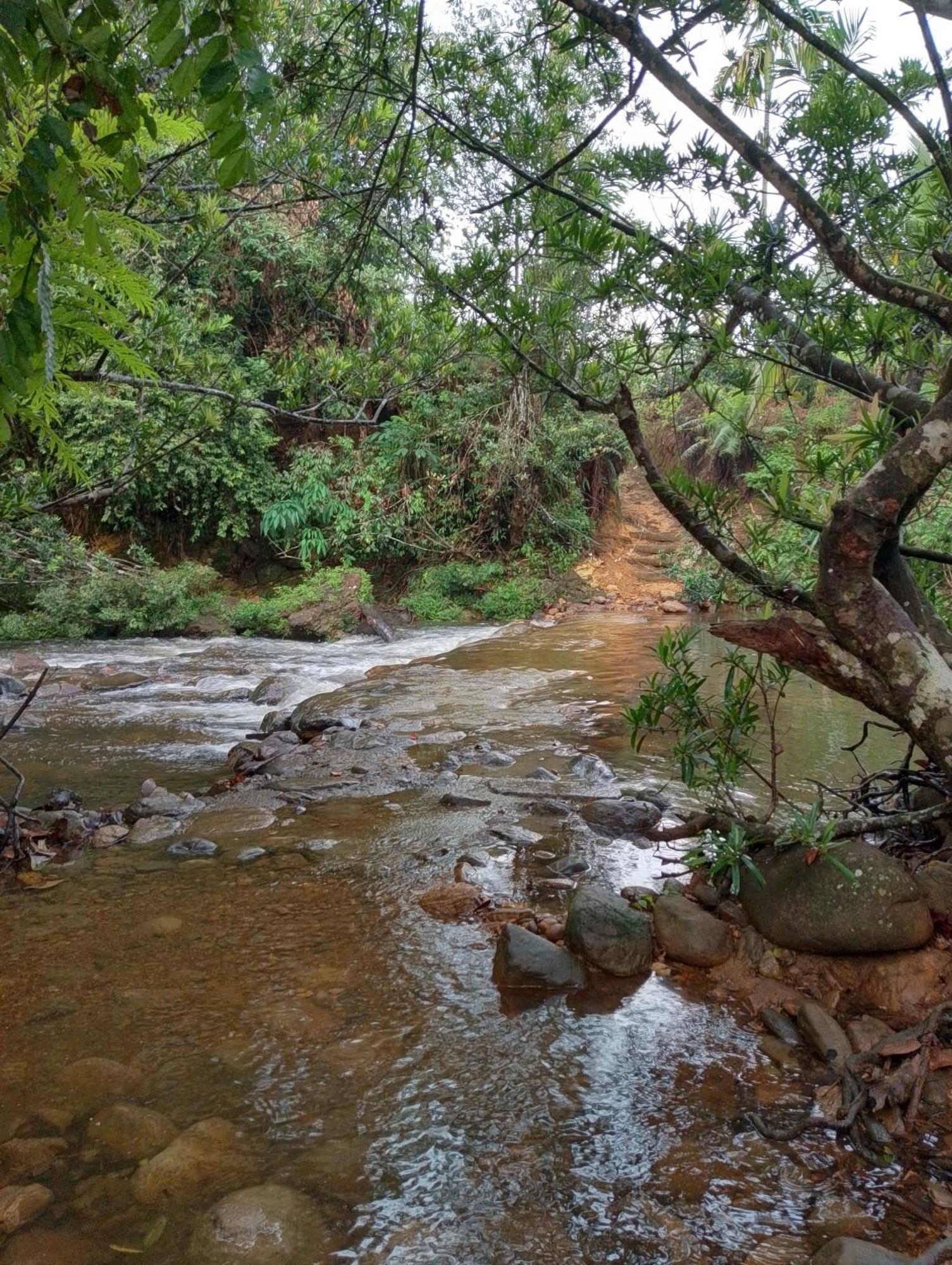 Rainforest Cabin Deniyaya Kültér fotó